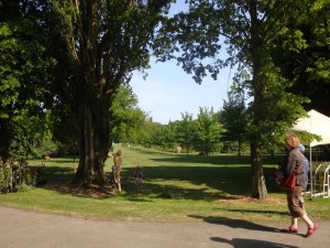 rDSC06331